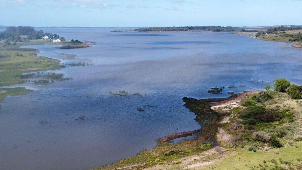 Vista aérea de la costa de la chacra sobre Laguna del Sauce